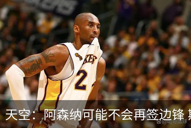 天空：阿森纳可能不会再签边锋 斯特林科曼都没戏